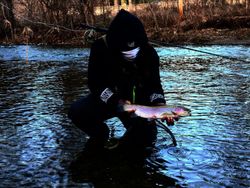 Rainbow Trout Fly Fishing PA